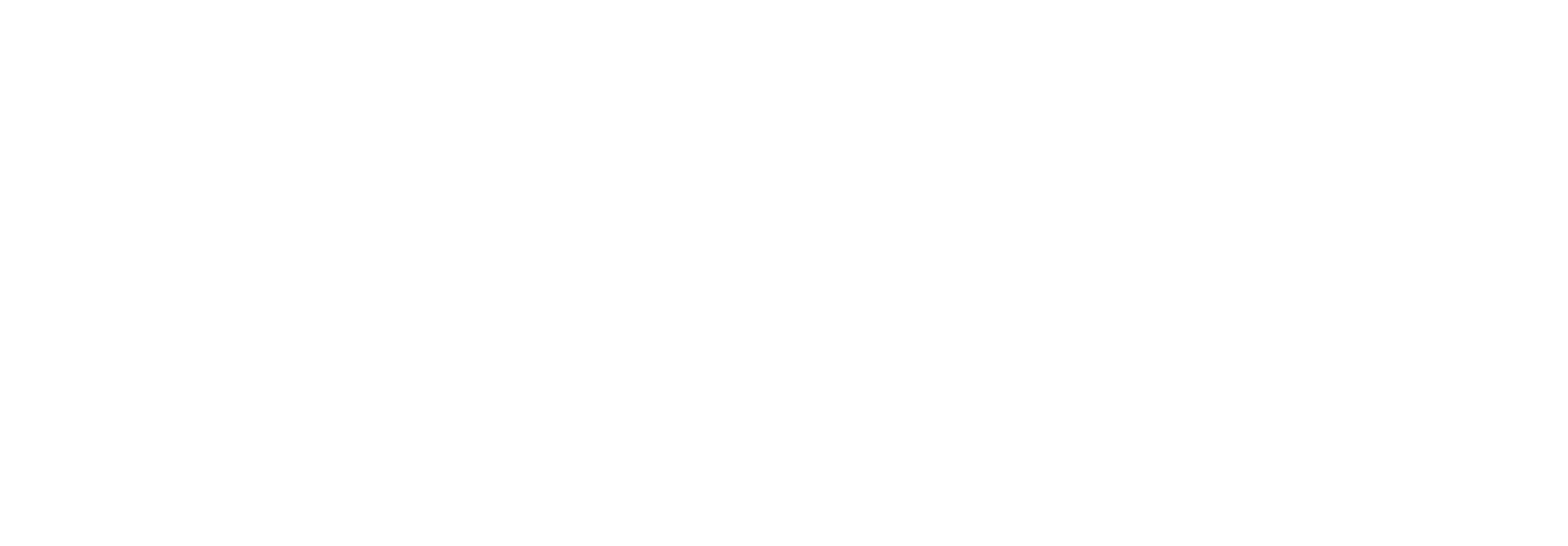 Leila Dagostim PA